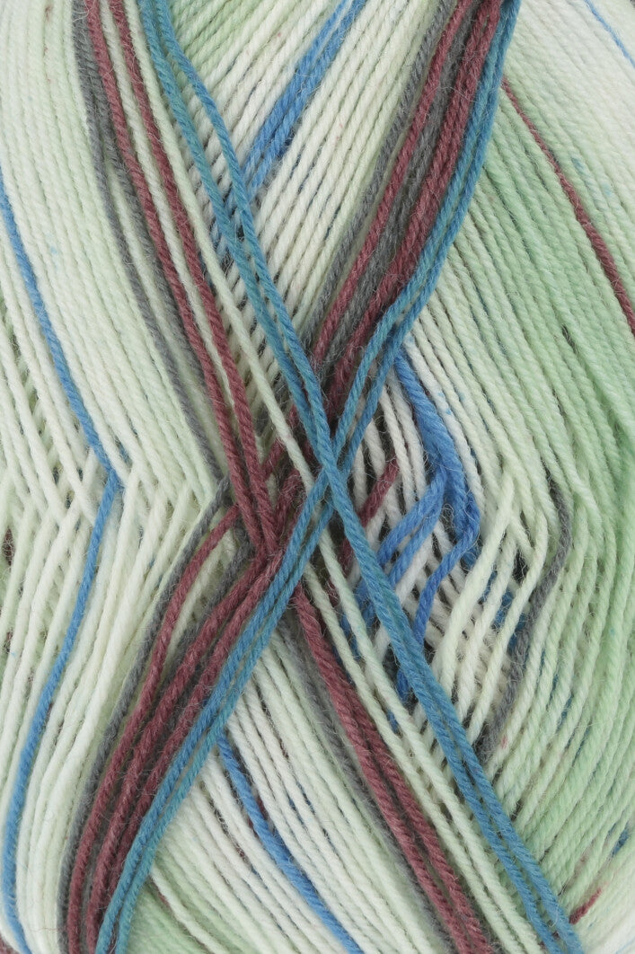 Lang Yarns Twin Soxx 4PLY (303) mezgimo siūlai