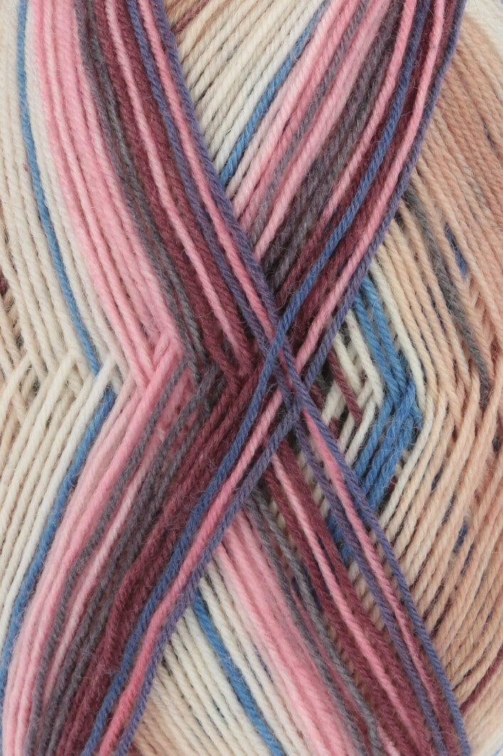 Lang Yarns Twin Soxx 4PLY (304) mezgimo siūlai