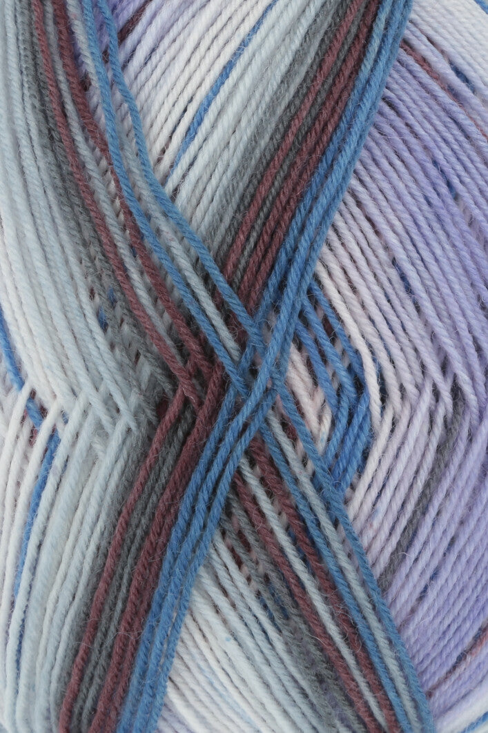 Lang Yarns Twin Soxx 4PLY (305) mezgimo siūlai
