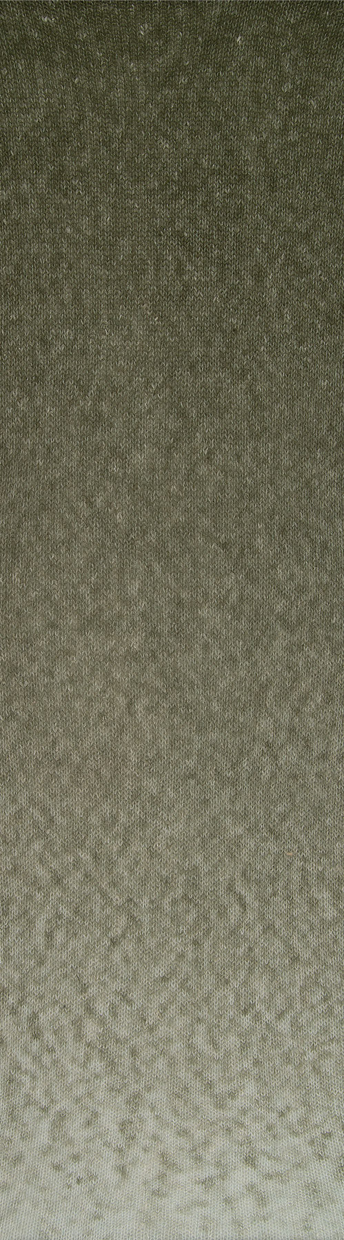 Laines du Nord Cashsilk Cotton Degrade (5) mezgimo siūlai