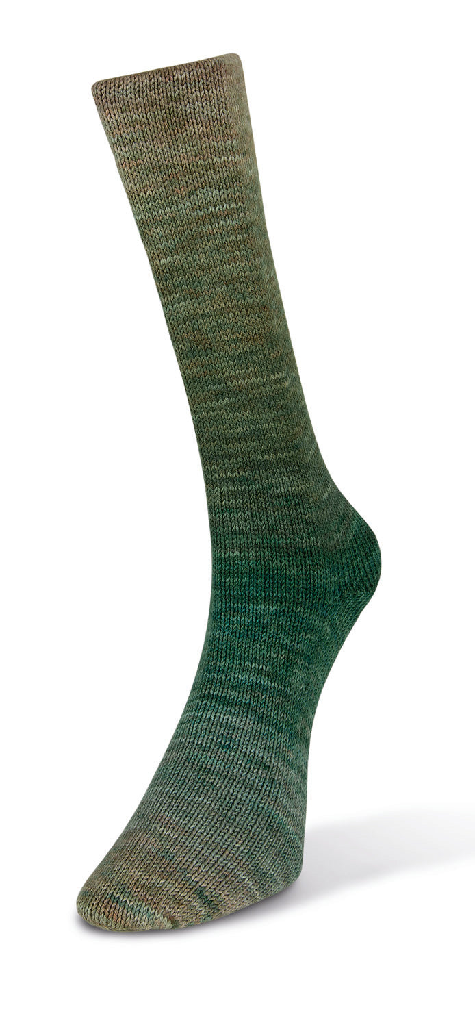 Laines du Nord Watercolor sock (200) mezgimo siūlai